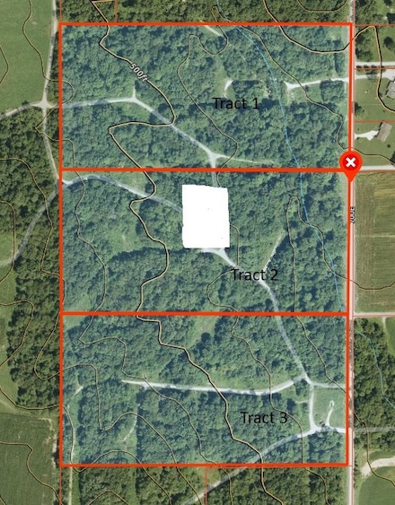 0 Kings Hill Rd, Sumner, IL 62466