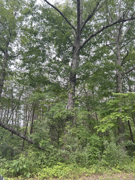 3C Loop Rd, Williamsburg, KY 40769