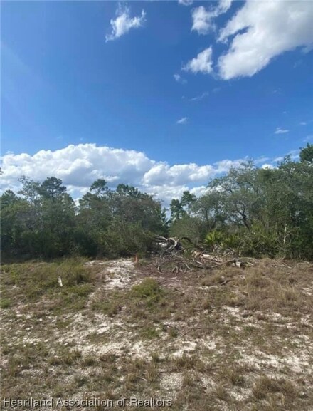 3219 Wilson Ave NE, Lake Placid, FL 33852