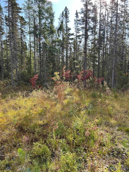 2662 Acres Marquette County, Ishpeming, MI 49849
