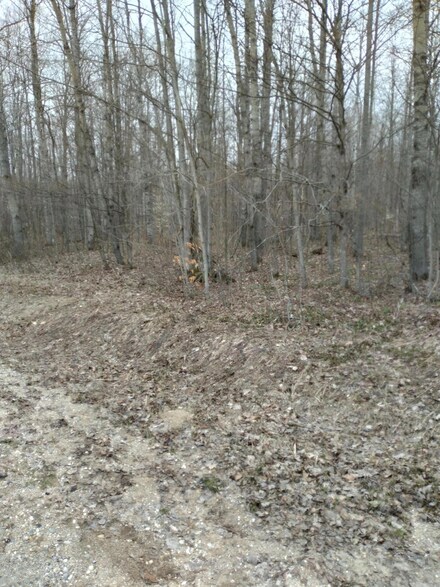 Lot 417 Skytrails Ct, Mancelona, MI 49659