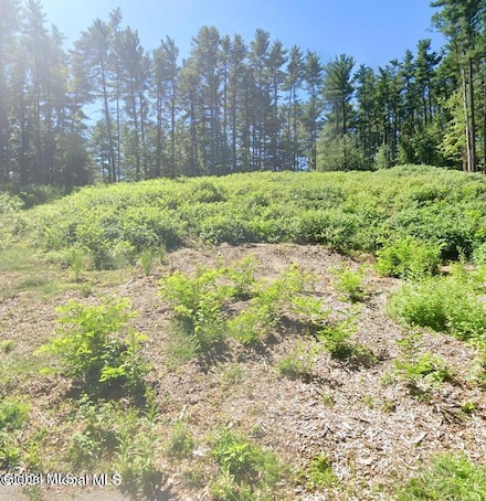 5 Woodview Ct, Country Knolls, NY 12019