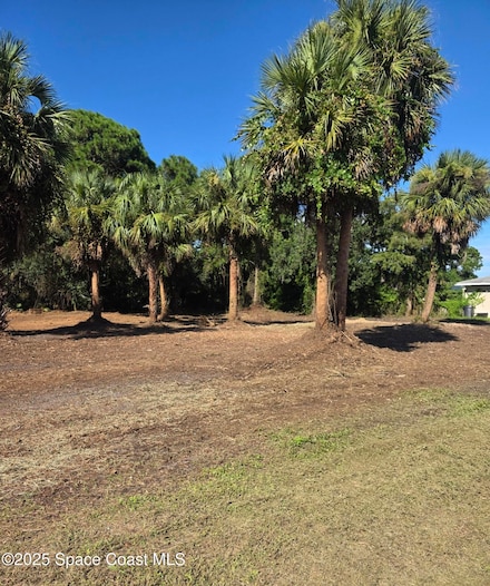 2723 Jupiter Blvd SW, Palm Bay, FL 32908