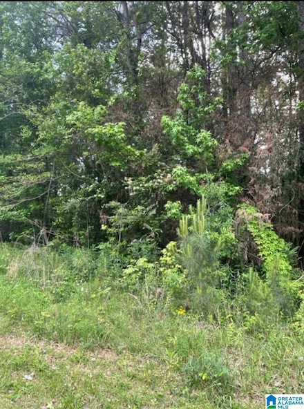0 Franklin Ave Unit In 21402057, Anniston, AL 36201