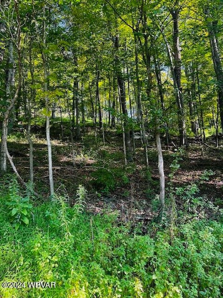 0 Saint Michaels Rd Unit WB-99896, Cogan Station, PA 17728