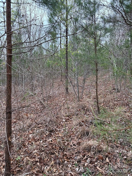 0 Rose Hollow Dr, Mill Spring, NC 28756