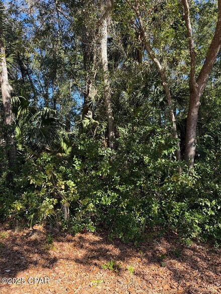TBD 4th St, Apalachicola, FL 32320
