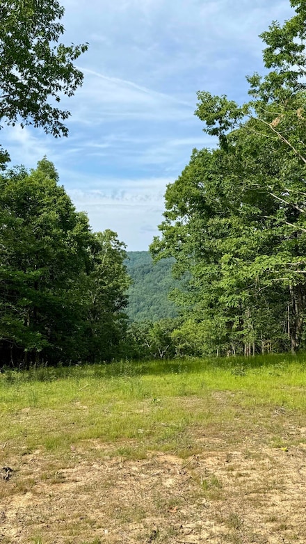 Lot 4 Hobbstown Rd, Dunlap, TN 37327