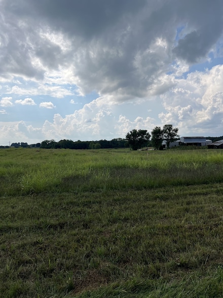 5638 Borthick Rd, Springfield, TN 37172