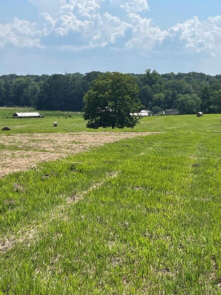 XX Claude Smith Rd, Tylertown, MS 39667