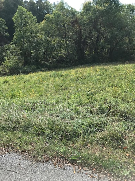 TBD Lot#40 Brooke St, Chilhowie, VA 24319