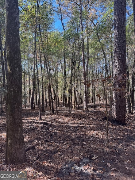 151 W Drummond Rd, West Point, GA 31833