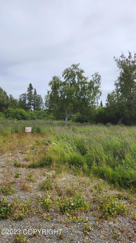 11100 Crestline Ln, Clam Gulch, AK 99568