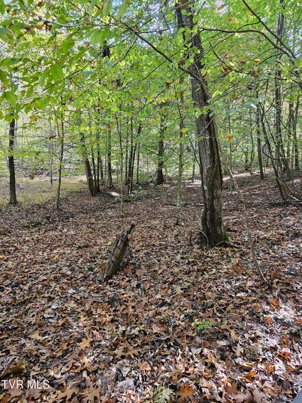 5.85 Acres Judge Clarke Rd, Jonesborough, TN 37659