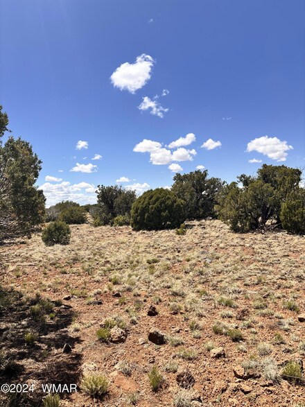 22 8237 Unit 8237, Concho, AZ 85924