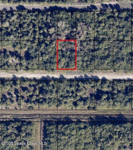 677 Parrotfish St, Palm Bay, FL 32908