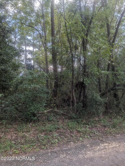 0 S Alderman St, Atkinson, NC 28421