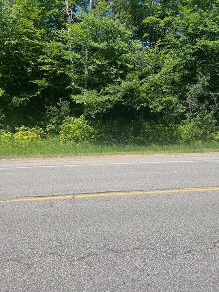 0 M-135 Unit 24-592, Newberry, MI 49868