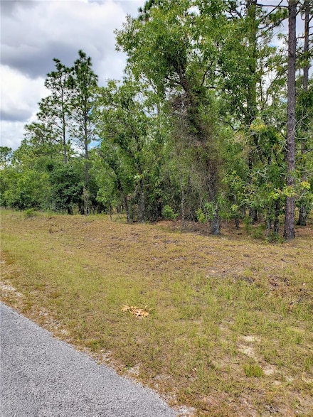 0 Pony Ridge Unit MFROM704453, Dunnellon, FL 34431
