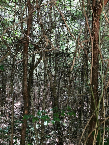 Parcel C Yellow River Baptist Church Rd, Baker, FL 32531