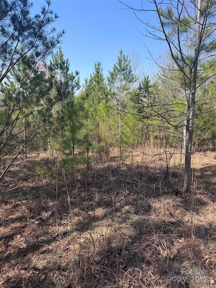 0 Cross Creek Dr Unit 277 CAR4240624, Rutherfordton, NC 28139