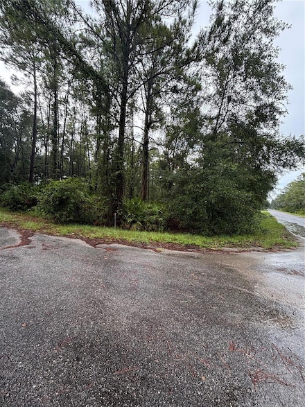 TBD Sequoia Drive Ct, Ocklawaha, FL 32179