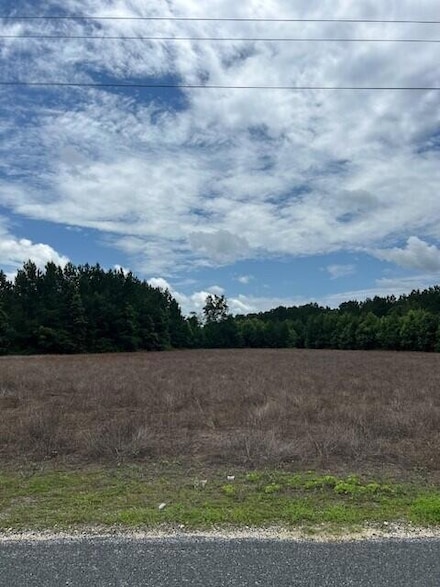 Lot B-4 Reeves Farm Rd, Saint George, SC 29477