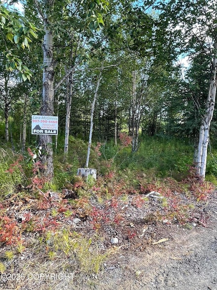 25850 Stinkbug St, Happy Valley, AK 99556