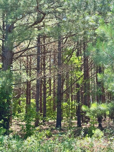 00 Sheppard Rd, Tennille, GA 31089