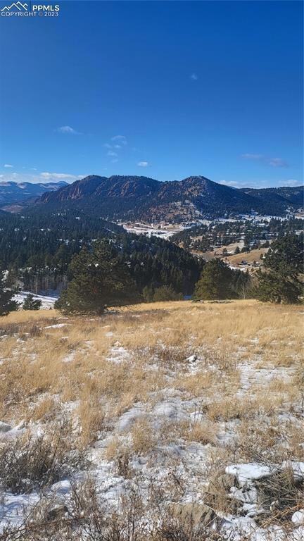 1399 Troy Dr, Cripple Creek, CO 80813