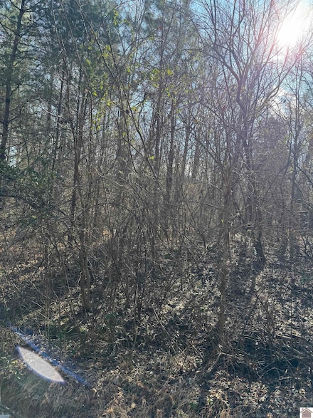 00 Mazurek Cir Unit Crappie Hollow Shore, Murray, KY 42071