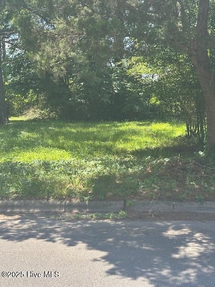 203 Booker St, Pikeville, NC 27863