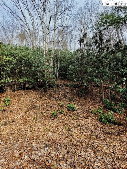 118 Deergrass Rd, Beech Mountain, NC 28604