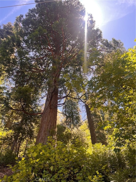 0 Nesthorn Dr Unit EV24148853, Crestline, CA 92325