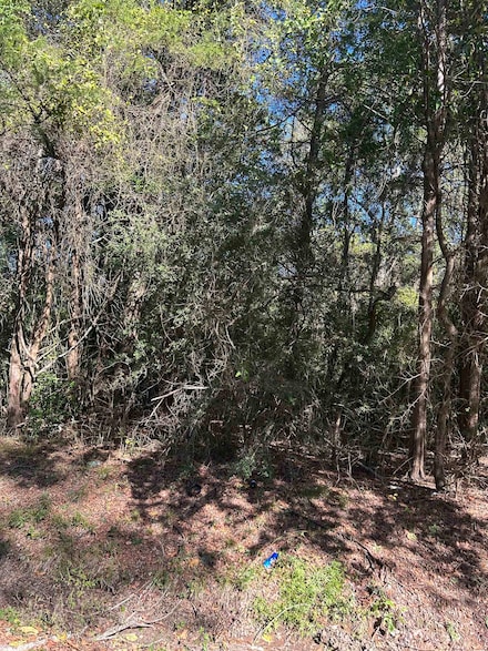 TBD Sanders St, Carthage, TX 75633