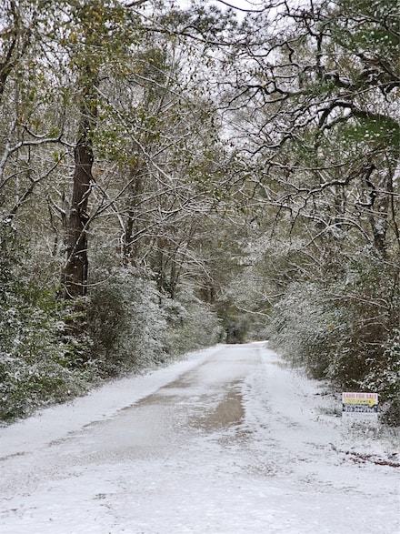 8.5 Acres Cr 209, Plantersville, TX 77363