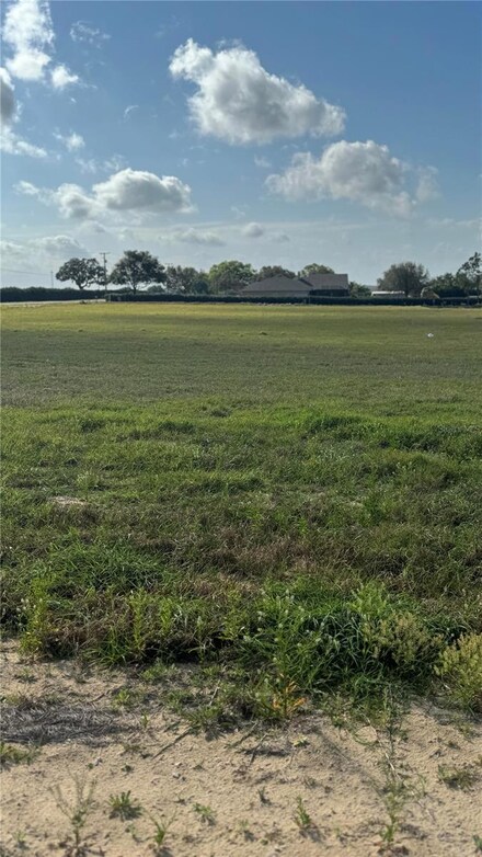 10005 White Egret Dr, Thonotosassa, FL 33592