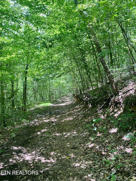 0 River Ridge Road Tract 4, Maynardville, TN 37807