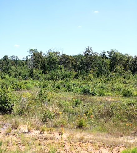 0 Lot 7 Lebleu Settlement Unit 29-2021, Leesville, LA 71446