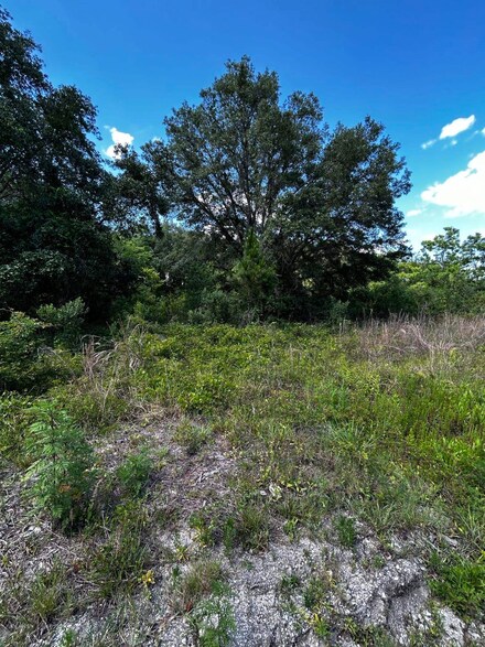 4052 Mahogany Blvd, Bunnell, FL 32110