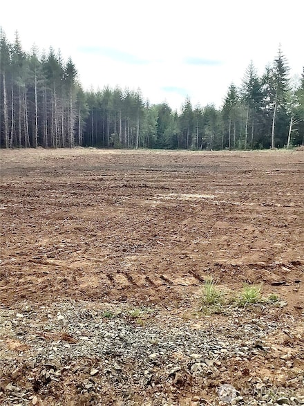 566 Tennessee Rd, Winlock, WA 98596