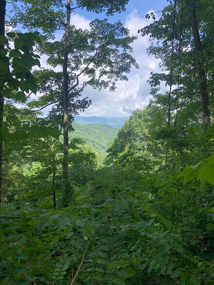 Tbd Paul Blevins Rd, Hampton, TN 37658