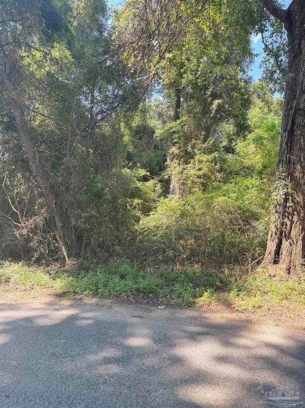 0 Sid Hayes Rd Unit 670582, Jay, FL 32565