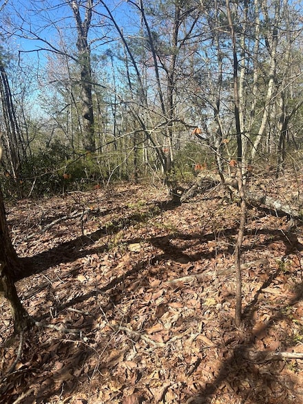 Lot 164 Bluff Ln, Wilder, TN 38589
