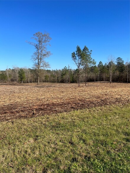 10975 U S 96, San Augustine, TX 75972