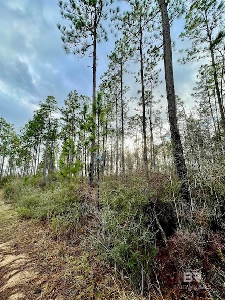 3700 Block Highway 168, Century, FL 32535
