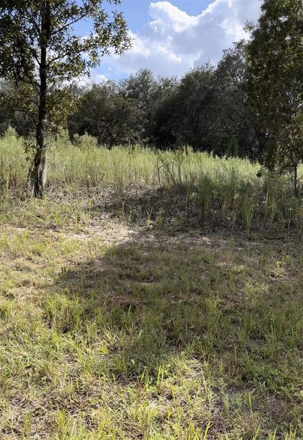 1656 W Hampshire Blvd, Dunnellon, FL 34434