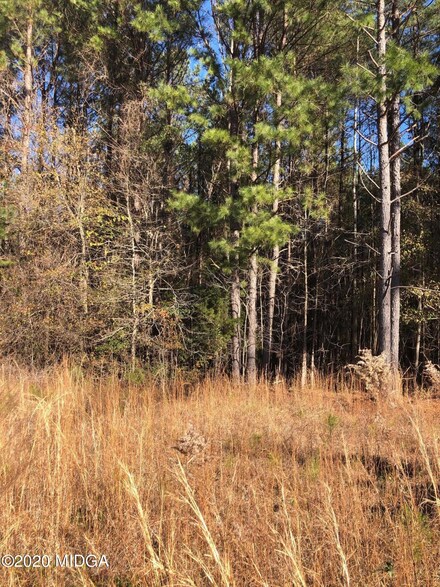 Lot 11 Juliette Rd, Juliette, GA 31046