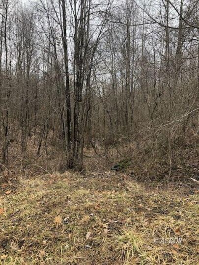 0 Old Dixon Rd Unit 2425640, McArthur, OH 45651