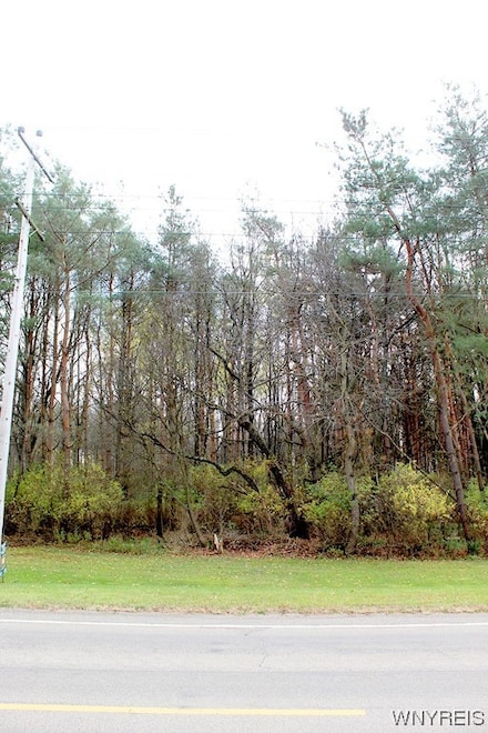 VL N Street Lot #2, Concord, NY 14141